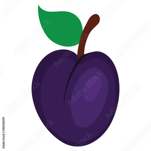 Flat design icon of Plum  in ui colors.