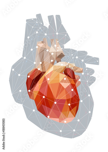 Vector concept illustration of anatomical polygonal human heart isolated on white background