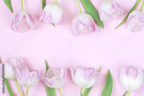 Fototapeta Naklejka Na Ścianę i Meble -  Blank  greeting card with  pink tulips on pink background, top view, mock up