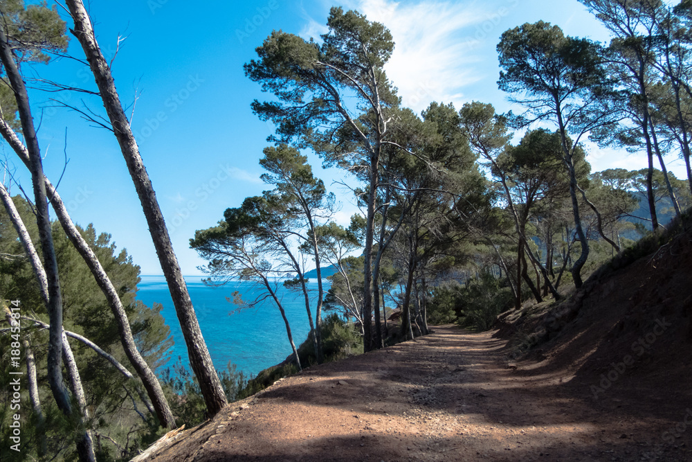 Weg zum Wandern an der Westküse Mallorcas nach Port d´es Canonge