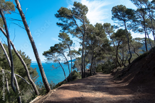 Weg zum Wandern an der Westk  se Mallorcas nach Port d  es Canonge