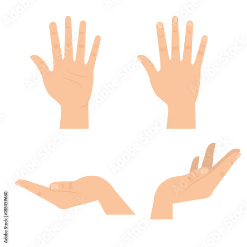 hands human symbols icons vector illustration design