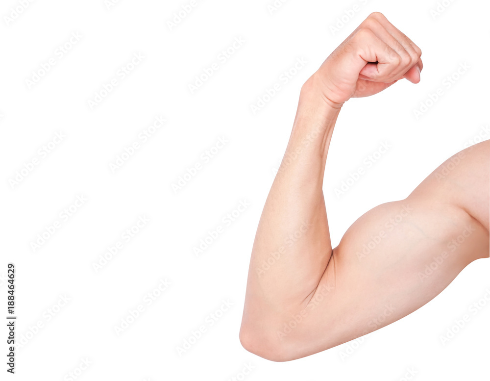 Strong arm man muscle isolated on white background with clipping path, fitness and healthy care concept Strong arm man muscle isolated on white background with clipping path, fitness and healthy care concept