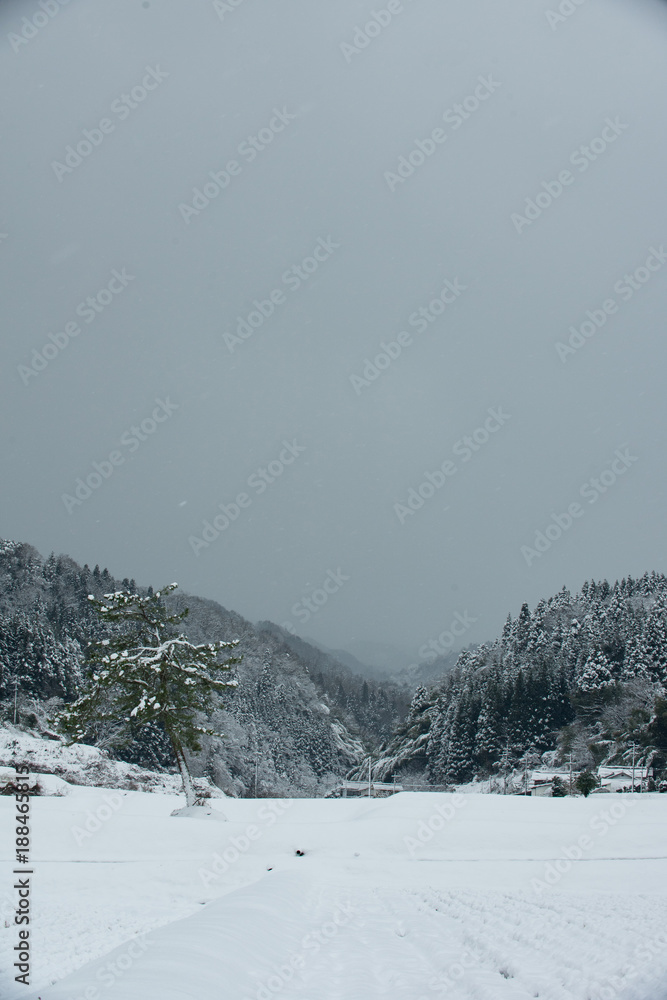 Obraz premium 里山の雪景色