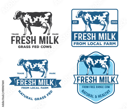 vintage vector design of label, badge, logo, dairy farm, fresh milk grass fed cows, natural farm