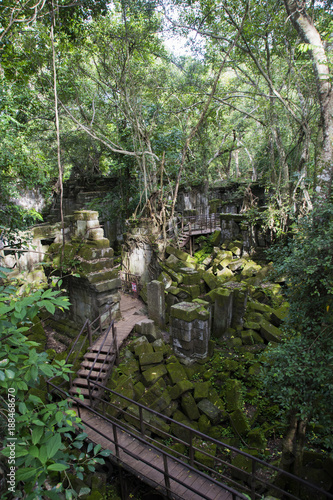 Beng Mealea ruins  Angkor Wat  Siem Reap  Cambodia