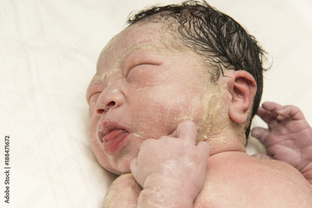 Obraz premium 出産直後の赤ちゃん