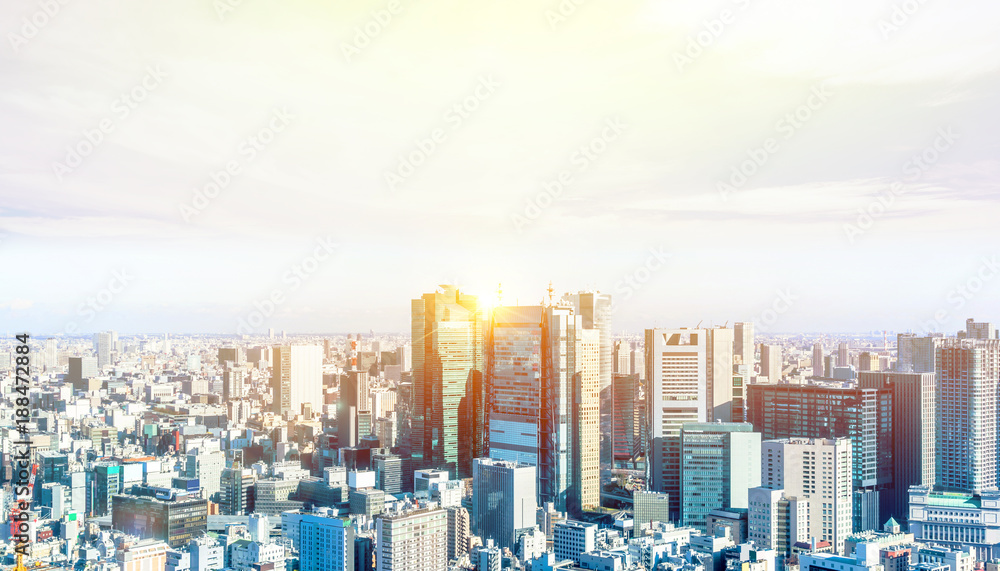 Asia Business concept for real estate and corporate construction - panoramic modern city skyline bird eye aerial view near tokyo tower under bright sun and vivid blue sky in Tokyo, Japan