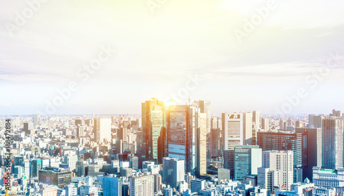 Asia Business concept for real estate and corporate construction - panoramic modern city skyline bird eye aerial view near tokyo tower under bright sun and vivid blue sky in Tokyo  Japan