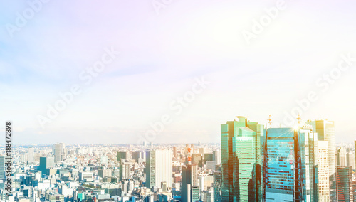 Asia Business concept for real estate and corporate construction - panoramic modern city skyline bird eye aerial view near tokyo tower under bright sun and vivid blue sky in Tokyo  Japan