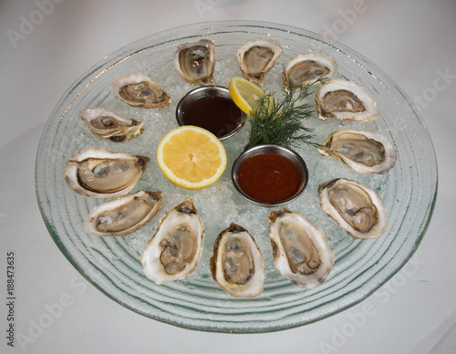 Plate of dozen Oysters
