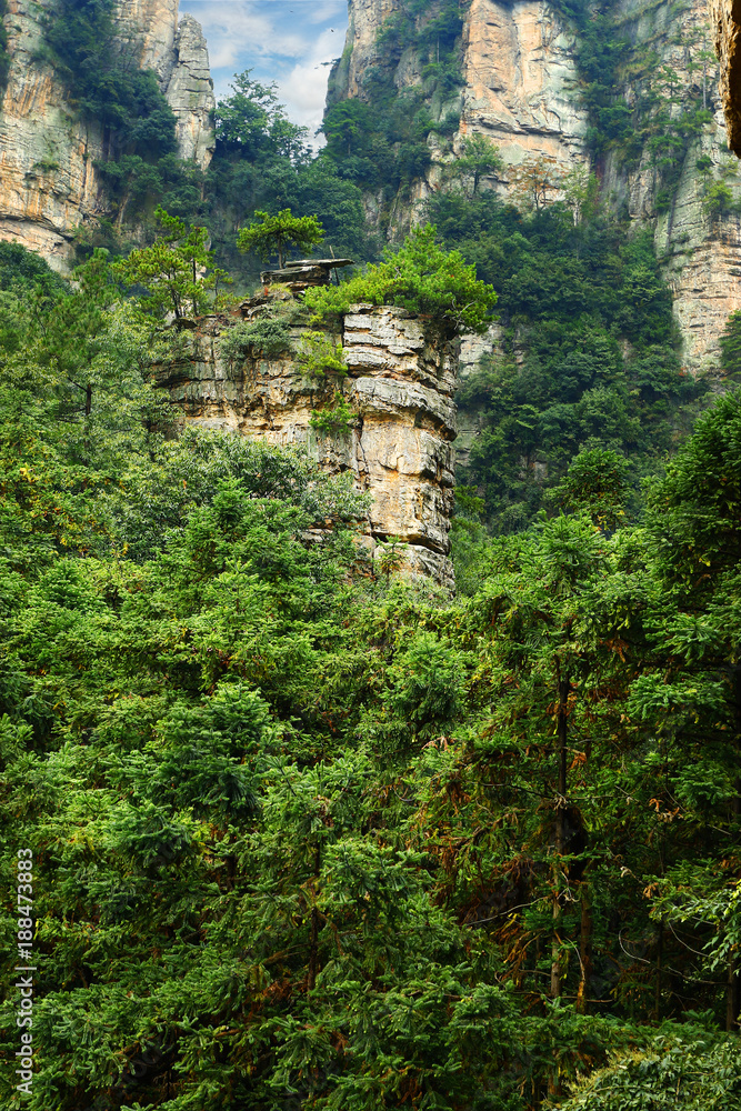 view of limestone cliff in Zhangjiajie national park, hunan,China