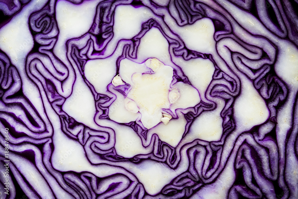 Obraz premium Macro shot of cut red cabbage