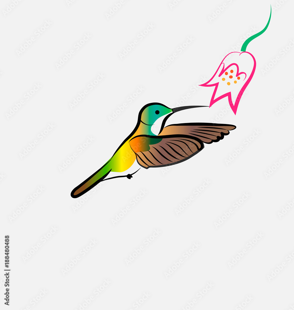 Fototapeta premium Hummingbird flying with flower, vector icon