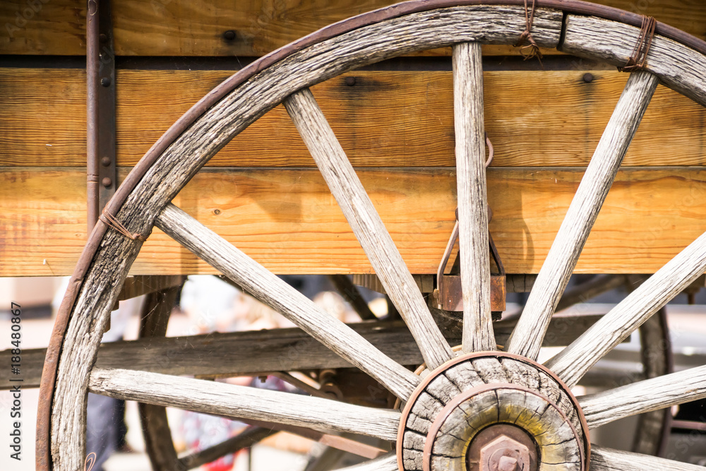 Wooden Wagon Wheel with Spider Cobweb Wooden Wagon Wheel with Spider Cobweb