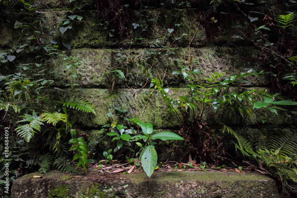 Fototapeta premium Stone Texture