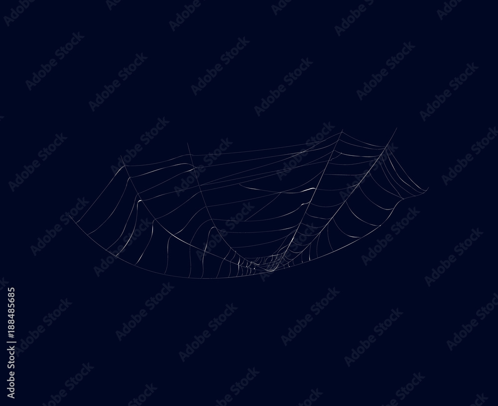 Detailed spiderweb isolated icon on dark background. Abstract design element for halloween holiday banners decoration, web silhouette vector illustration.