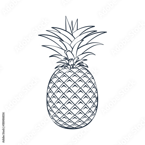 Vector outline pineapple icon