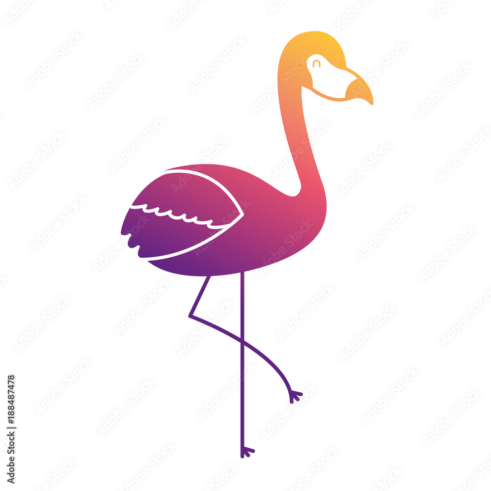 Fototapeta premium pink flamingo bird exotic image vector illustration