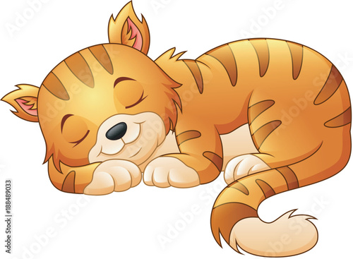 Cute cat sleeping