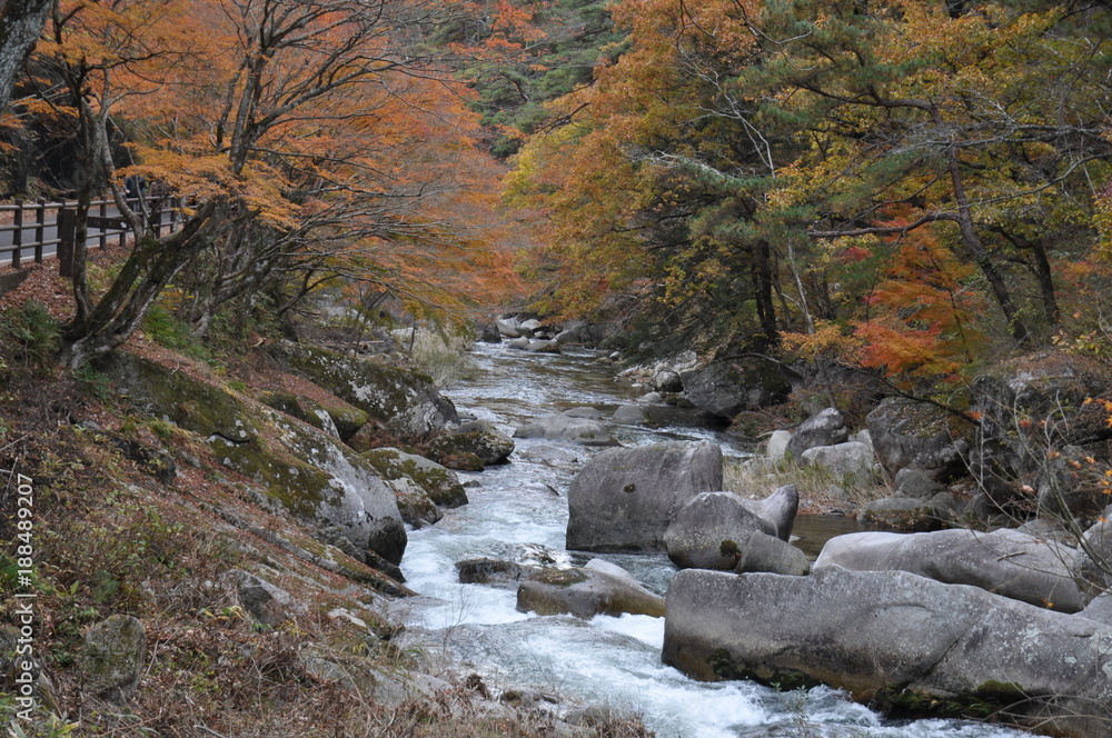 Obraz premium 秋 昇仙峡 川 谷 滝 落ち葉 秘境 御岳昇仙峡 甲府 紅葉 絶景
