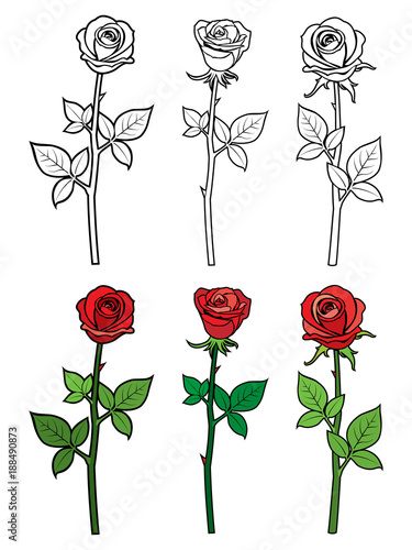Hand drawn ouline and red roses - flowers