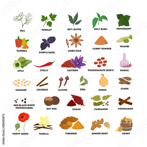 Spices set illustrations.