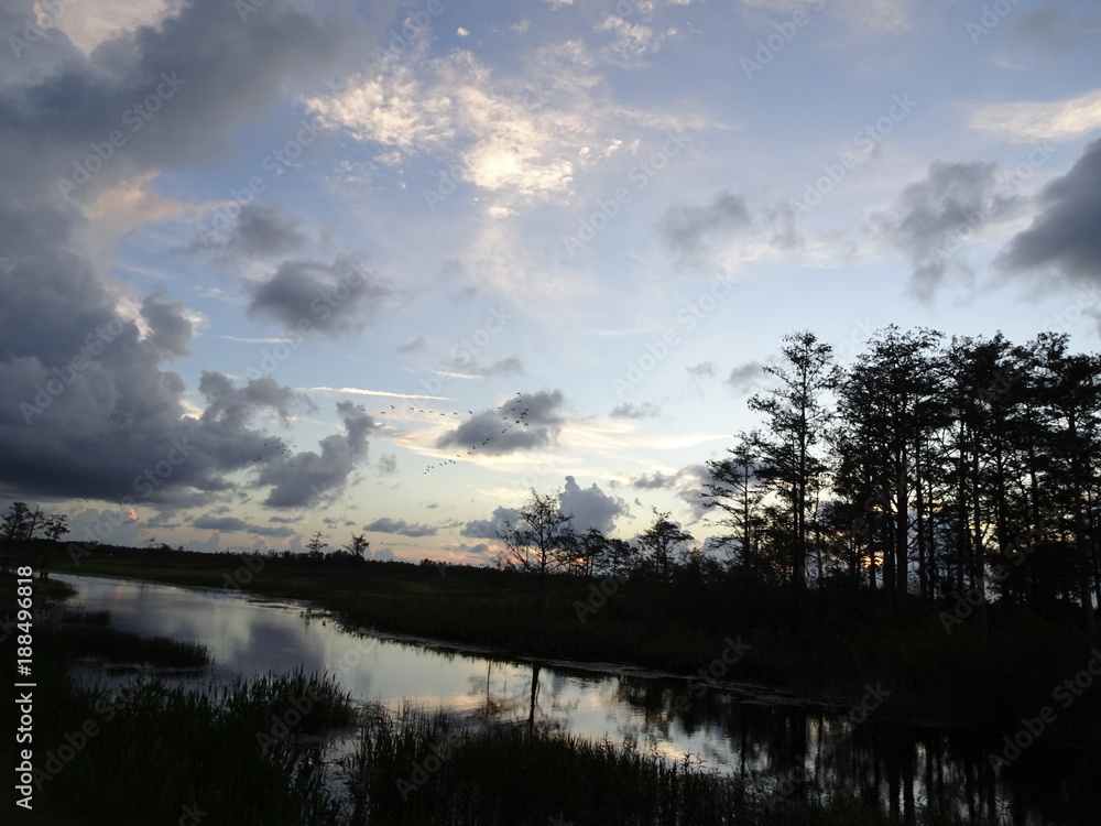 sunset on the bayou in Swamps