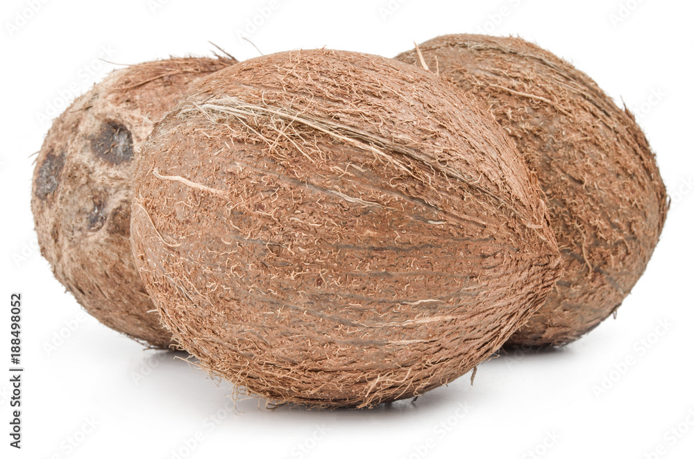 Coconut on white Coconut on white