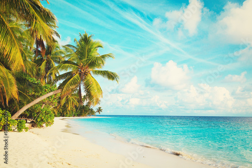 tropical sand beach with palm trees © nadezhda1906