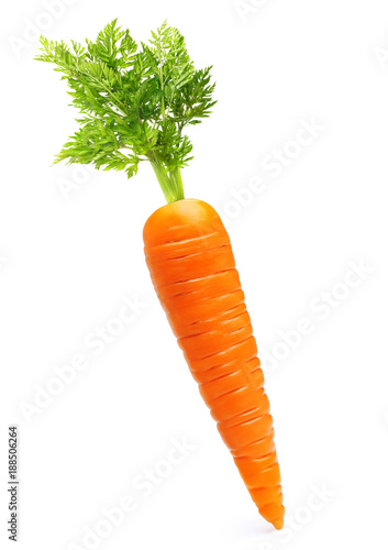 Vászonkép Carrot isolated on white