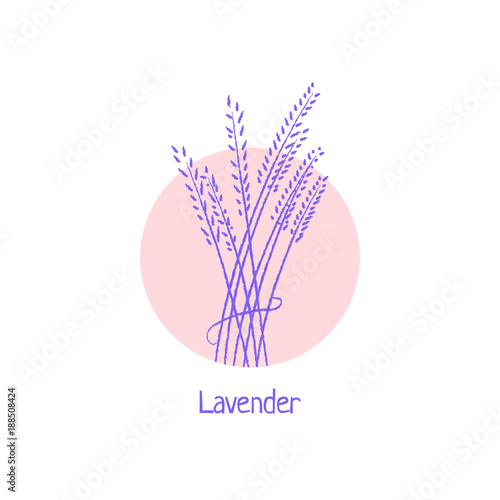 hand drawn lavender logo isolated on white