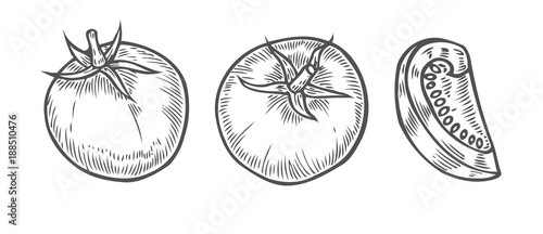 Tomato slice set vector.