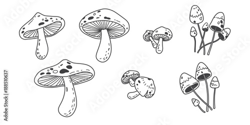 mushroom icon Vector illustration doodle logo