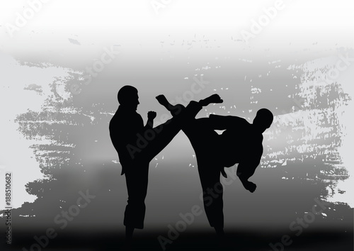 Two men demonstrate karate.