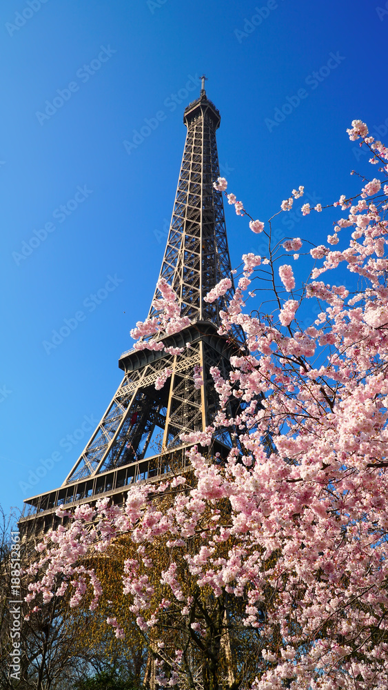 Fototapeta premium Wieża Eiffla w okresie wiosennym, Paryż, Francja
