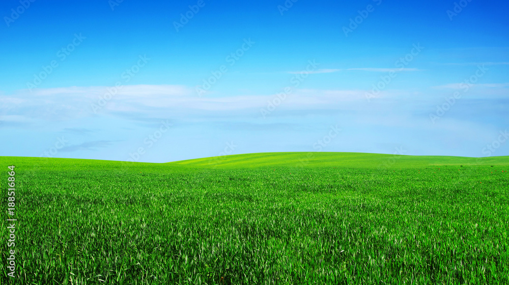 green field