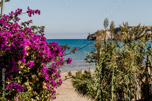 S.Nicola Bay At Peschici photo