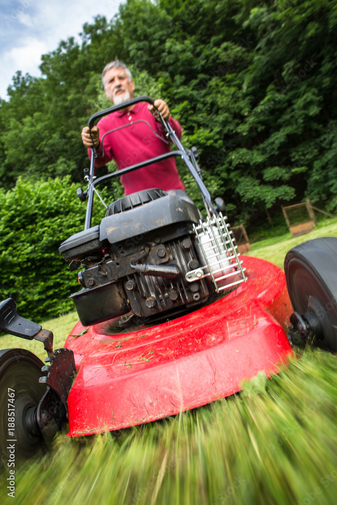 Fototapeta premium Senior man mowing the lawn in his garden (selective focus; shallow DOF)