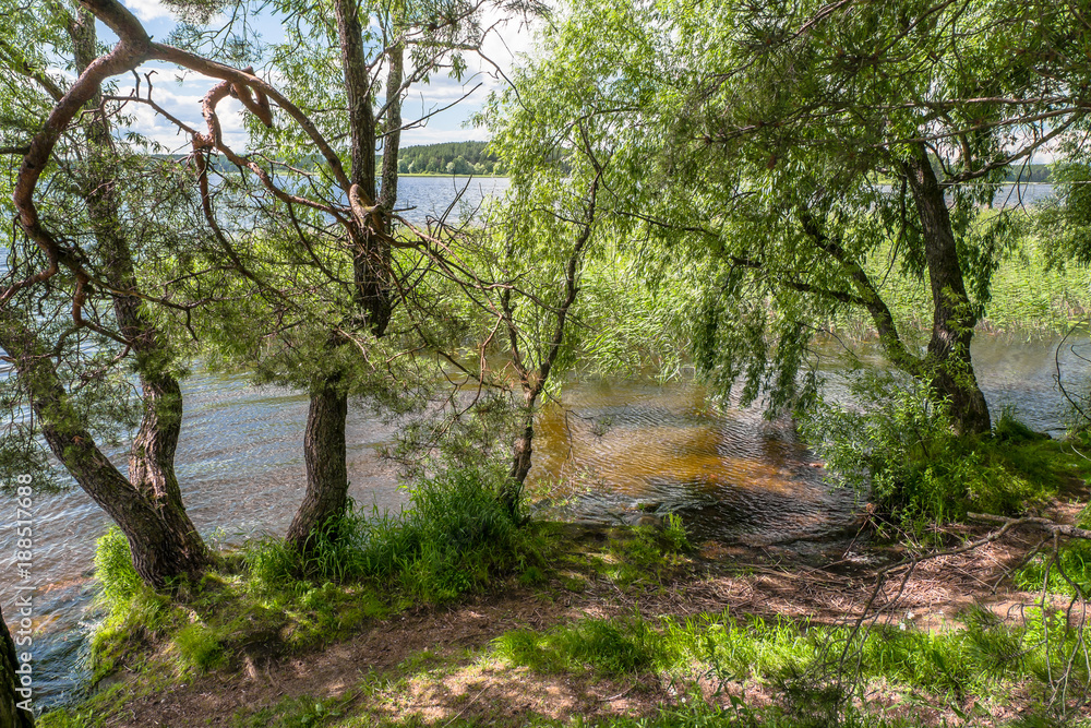 Summer landscape. Scenic view from the riparian forest to the lake Seliger, Tver region.