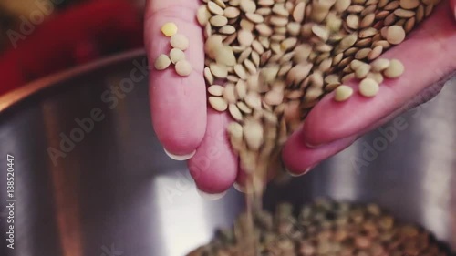 healthy uncooked lentils shown by womans hands