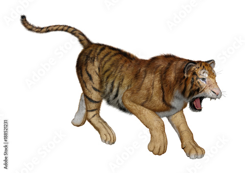 Fototapeta Naklejka Na Ścianę i Meble -  3D Rendering Big Cat Tiger on White