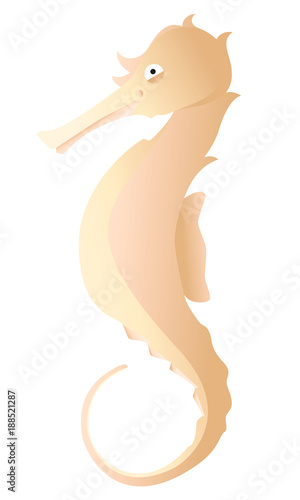 Seahorse