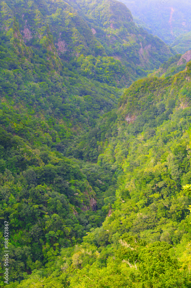 Mountain landscape. View of mountains on the route Queimadas Forestry Park - Caldeirao Verde