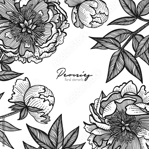 Graphic detailed frame with peony flowers and leaves. Vector illustration painted with clear lines. Romantic design template for cards, business cards, posts in social networks, inspirational quotes.