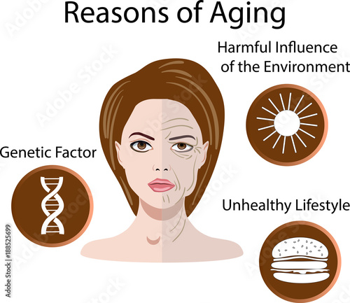 Vector illustration with reasons of aging, isolated