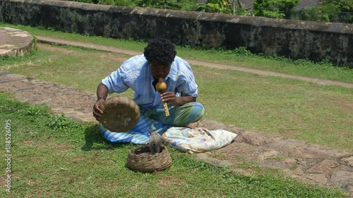 King Cobra & Snake Charmer; Galle & Unawatuna; Galle, Sri Lanka