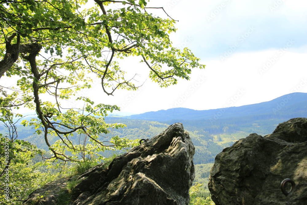 Jeseniky mountains with nice green forest in the spring
