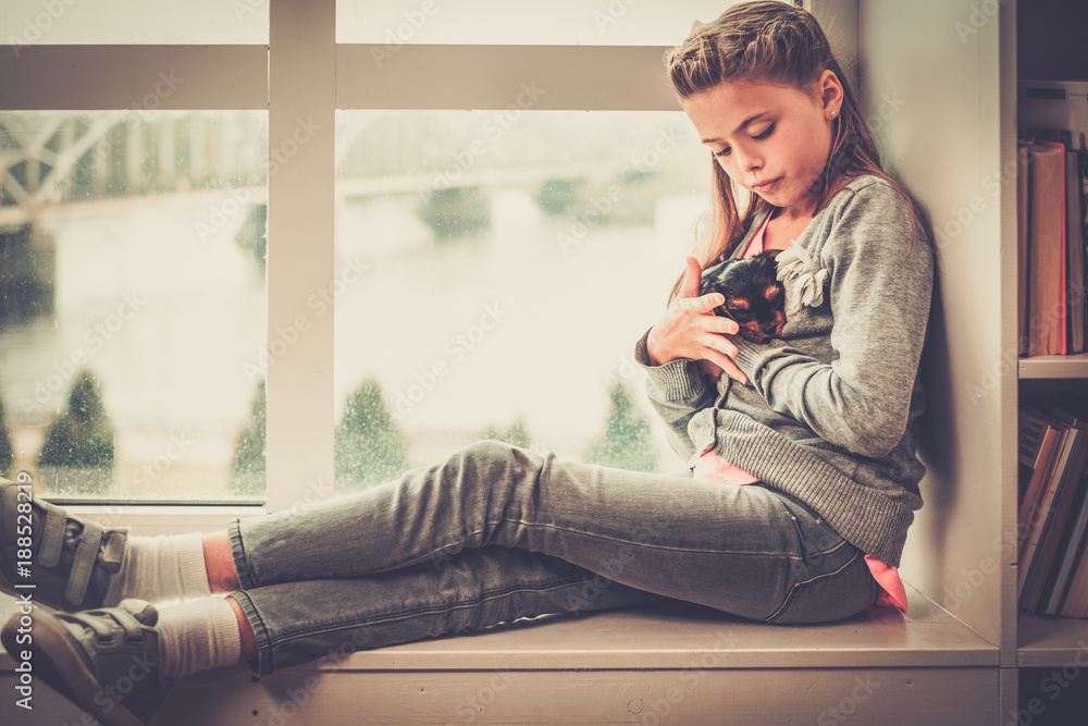Fototapeta premium Little girl playing with yorkshire terrier puppy