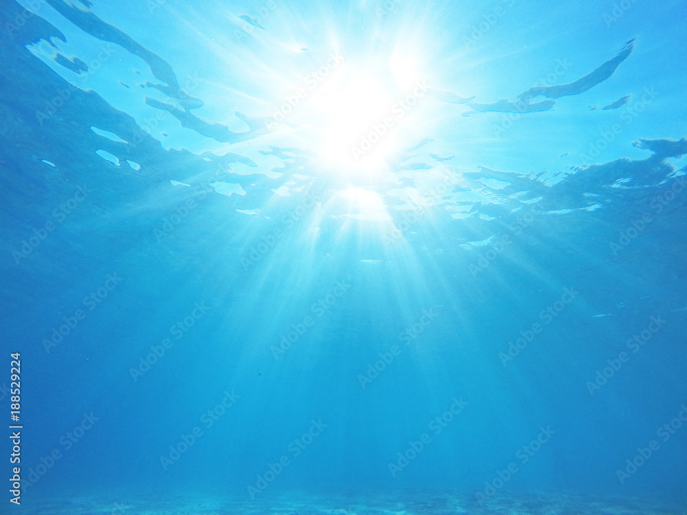 Underwater sea scene Underwater sea scene